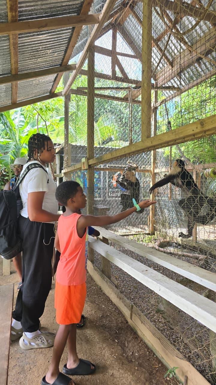 Monkeys and Sloths + Island Tour +Beach Break - photo 1