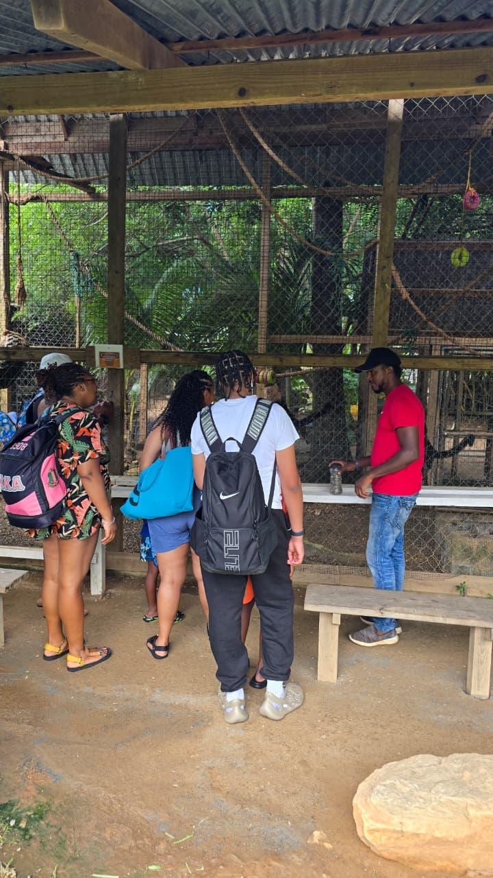 Monkeys and Sloths + Island Tour +Beach Break - photo 5
